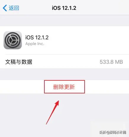 ios软件 ios软件自动更新怎么关闭_ios软件_04